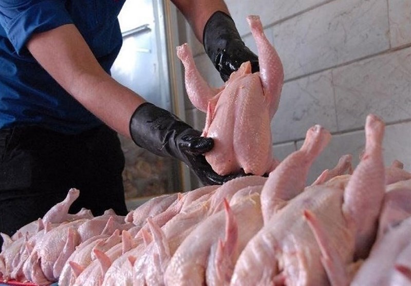هشدار وزارت کشاورزی به مرغداران: اگر ‌مرغ ‌با قیمت مصوب توزیع نشو‌د قطعاً وارد می‌کنیم